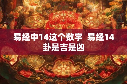 易经中14这个数字  易经14卦是吉是凶