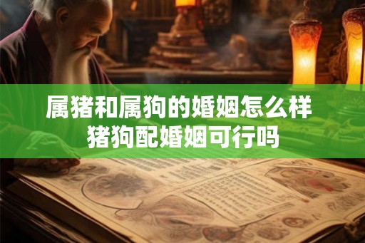 属猪和属狗的婚姻怎么样 猪狗配婚姻可行吗