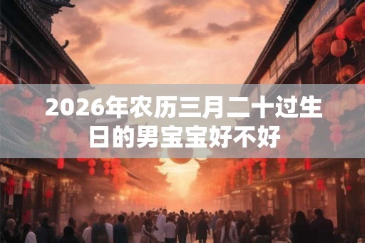 2026年农历三月二十过生日的男宝宝好不好