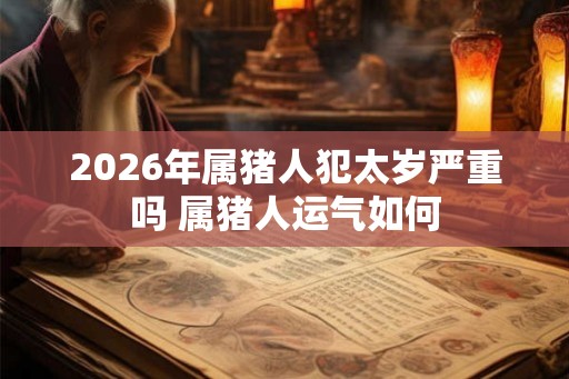 2026年属猪人犯太岁严重吗 属猪人运气如何