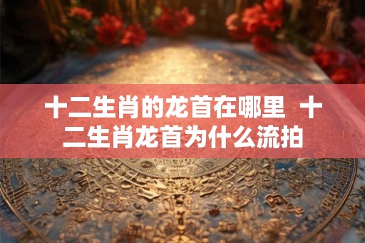 十二生肖的龙首在哪里  十二生肖龙首为什么流拍