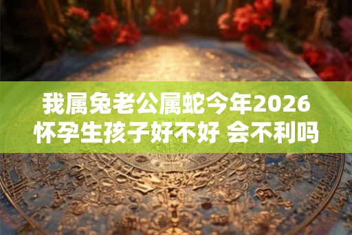 我属兔老公属蛇今年2026怀孕生孩子好不好 会不利吗 我属兔老公属蛇今年2026怀孕生孩子好不好 会不利吗
