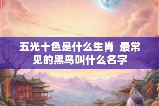 五光十色是什么生肖  最常见的黑鸟叫什么名字