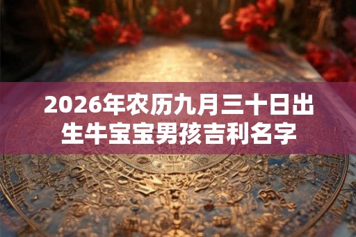 2026年农历九月三十日出生牛宝宝男孩吉利名字