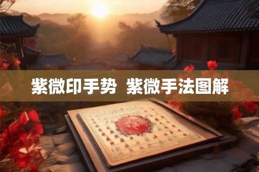 紫微印手势  紫微手法图解