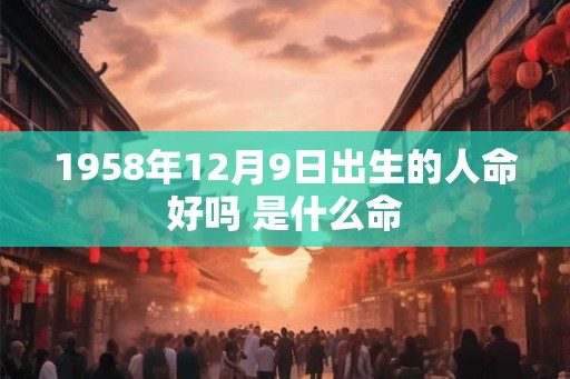 1958年12月9日出生的人命好吗 是什么命