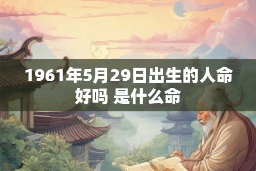 1961年5月29日出生的人命好吗 是什么命
