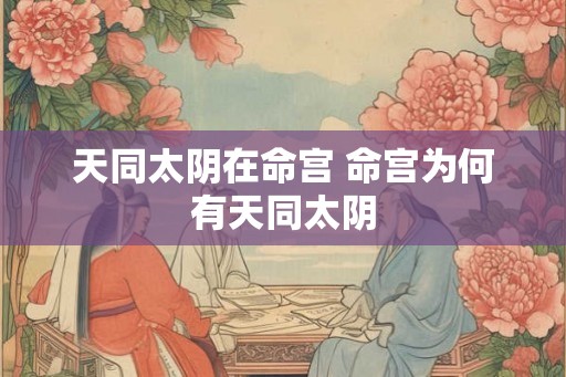 天同太阴在命宫 命宫为何有天同太阴