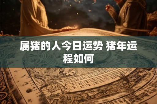 属猪的人今日运势 猪年运程如何