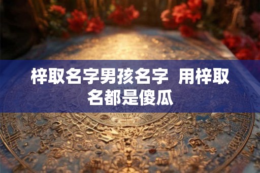梓取名字男孩名字  用梓取名都是傻瓜