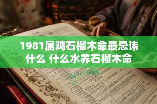 1981属鸡石榴木命最忌讳什么 什么水养石榴木命