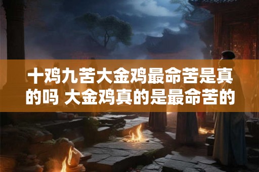 十鸡九苦大金鸡最命苦是真的吗 大金鸡真的是最命苦的吗