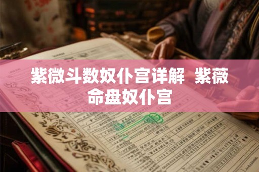 紫微斗数奴仆宫详解 紫薇命盘奴仆宫 紫微斗数奴仆宫详解 紫薇命盘奴仆宫