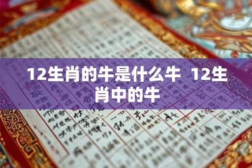 12生肖的牛是什么牛  12生肖中的牛