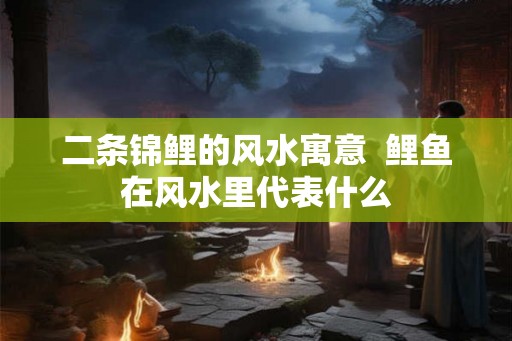 二条锦鲤的风水寓意 鲤鱼在风水里代表什么 二条锦鲤的风水寓意 鲤鱼在风水里代表什么