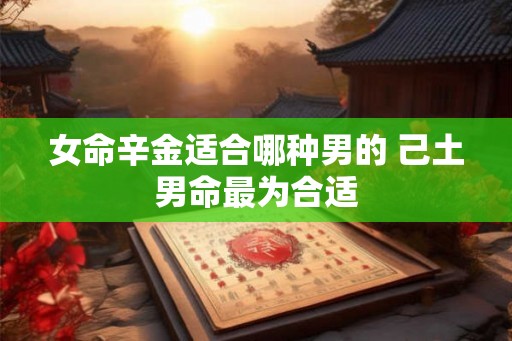 女命辛金适合哪种男的 己土男命最为合适