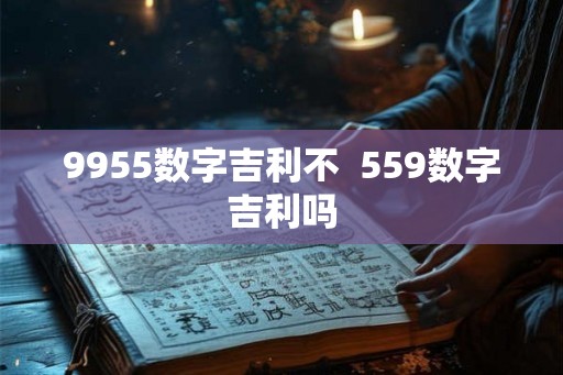 9955数字吉利不  559数字吉利吗