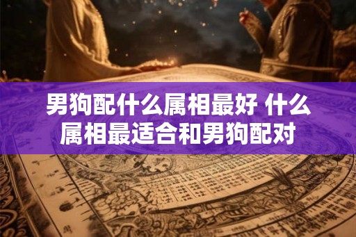 男狗配什么属相最好 什么属相最适合和男狗配对