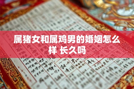 属猪女和属鸡男的婚姻怎么样 长久吗