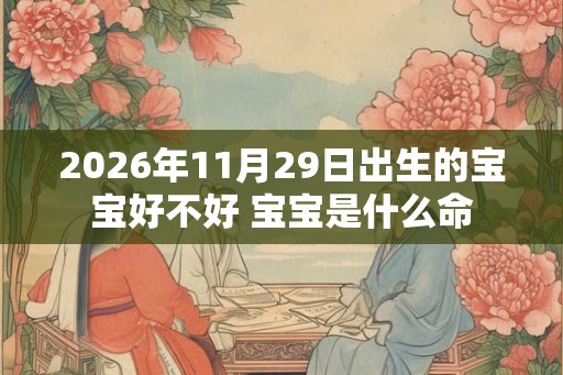 2026年11月29日出生的宝宝好不好 宝宝是什么命