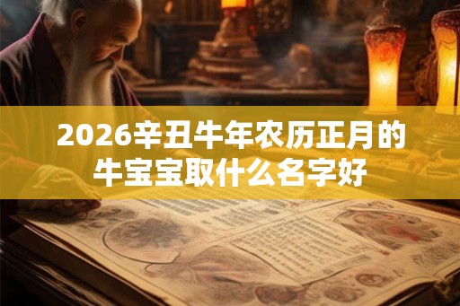 2026辛丑牛年农历正月的牛宝宝取什么名字好 2026辛丑牛年农历正月的牛宝宝取什么名字好