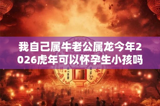 我自己属牛老公属龙今年2026虎年可以怀孕生小孩吗