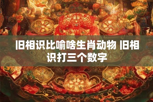 旧相识比喻啥生肖动物 旧相识打三个数字
