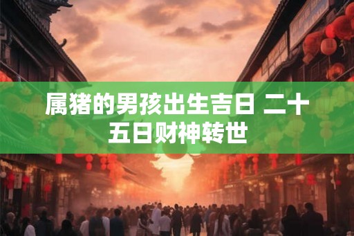属猪的男孩出生吉日 二十五日财神转世