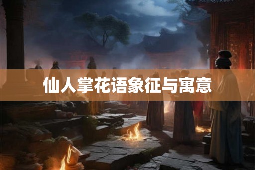 仙人掌花语象征与寓意