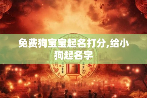 免费狗宝宝起名打分,给小狗起名字