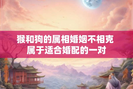 猴和狗的属相婚姻不相克 属于适合婚配的一对