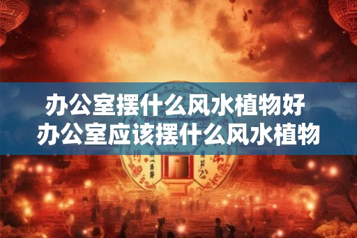 办公室摆什么风水植物好 办公室应该摆什么风水植物