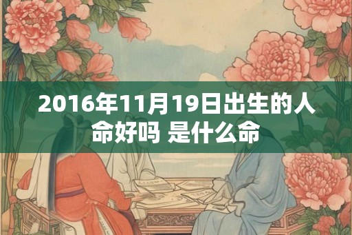 2016年11月19日出生的人命好吗 是什么命