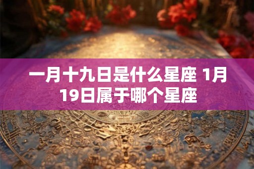 一月十九日是什么星座 1月19日属于哪个星座