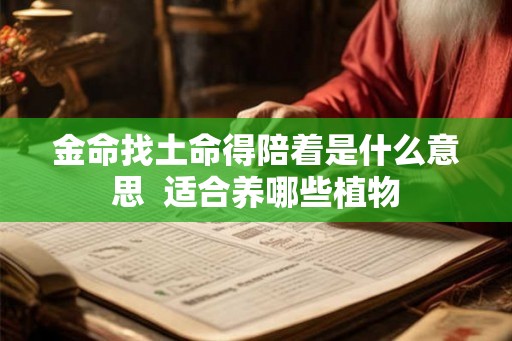 金命找土命得陪着是什么意思  适合养哪些植物