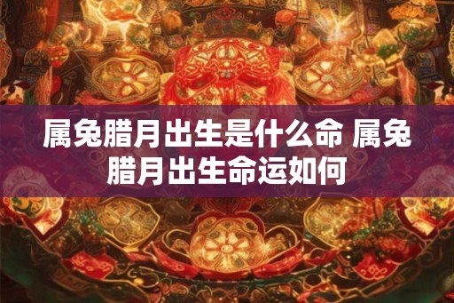 属兔腊月出生是什么命 属兔腊月出生命运如何 属兔腊月出生是什么命 属兔腊月出生命运如何