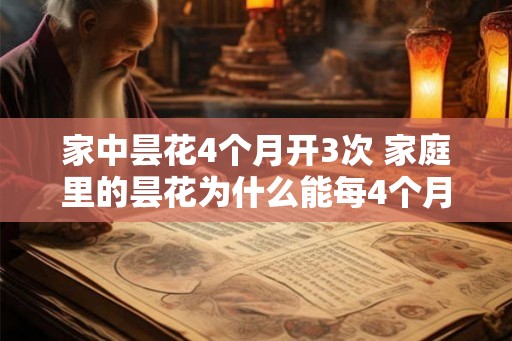 家中昙花4个月开3次 家庭里的昙花为什么能每4个月开3次