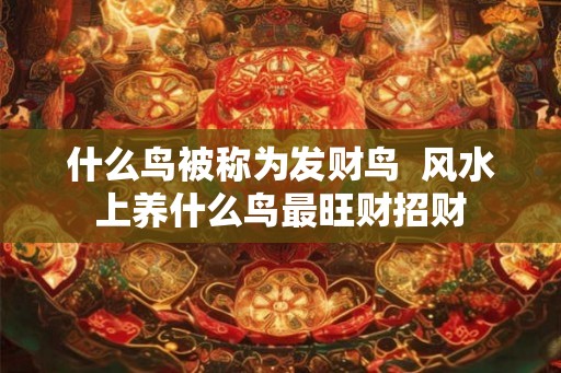 什么鸟被称为发财鸟 风水上养什么鸟最旺财招财 什么鸟被称为发财鸟 风水上养什么鸟最旺财招财
