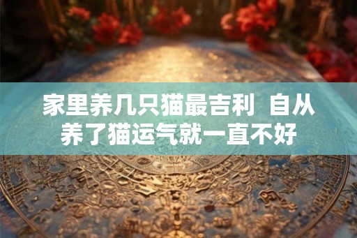 家里养几只猫最吉利  自从养了猫运气就一直不好