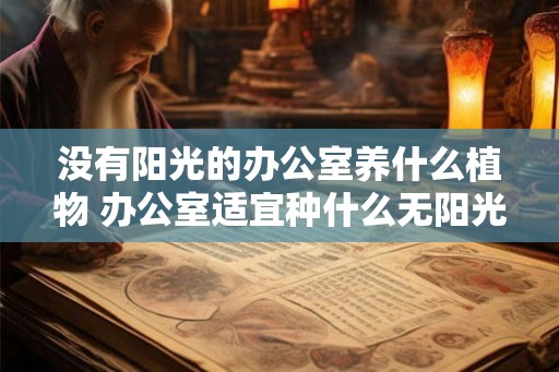 没有阳光的办公室养什么植物 办公室适宜种什么无阳光植物