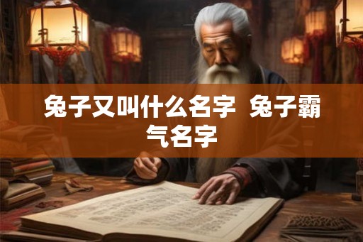兔子又叫什么名字  兔子霸气名字