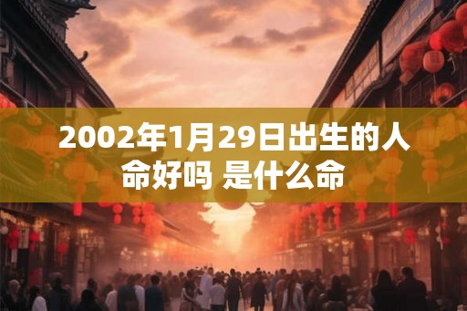 2002年1月29日出生的人命好吗 是什么命