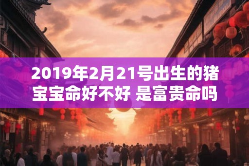 2019年2月21号出生的猪宝宝命好不好 是富贵命吗