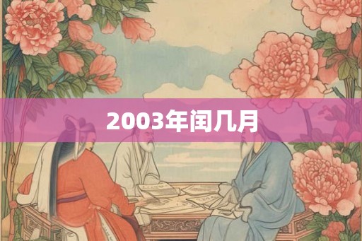 2003年闰几月