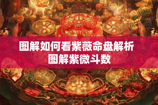 图解如何看紫薇命盘解析  图解紫微斗数