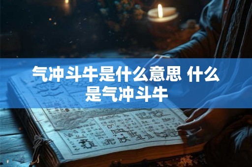 气冲斗牛是什么意思 什么是气冲斗牛