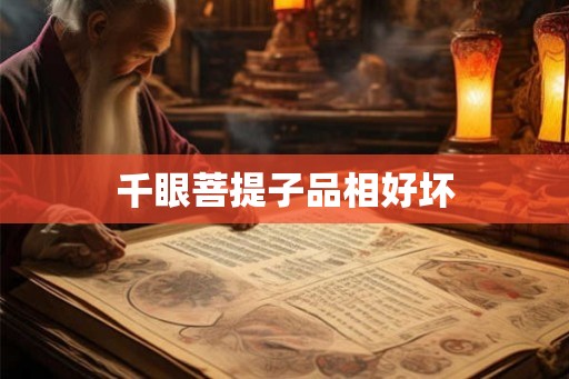千眼菩提子品相好坏