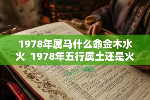 1978年属马什么命金木水火  1978年五行属土还是火