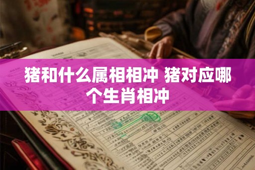 猪和什么属相相冲 猪对应哪个生肖相冲