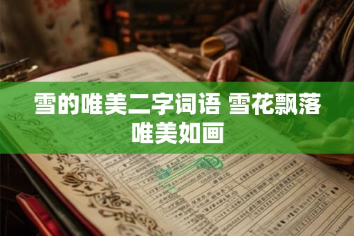 雪的唯美二字词语 雪花飘落唯美如画